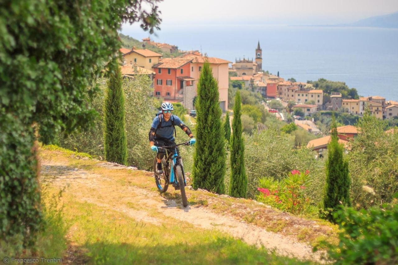 Hotel Danieli La Castellana Lago Di Garda ブレンゾーネ エクステリア 写真