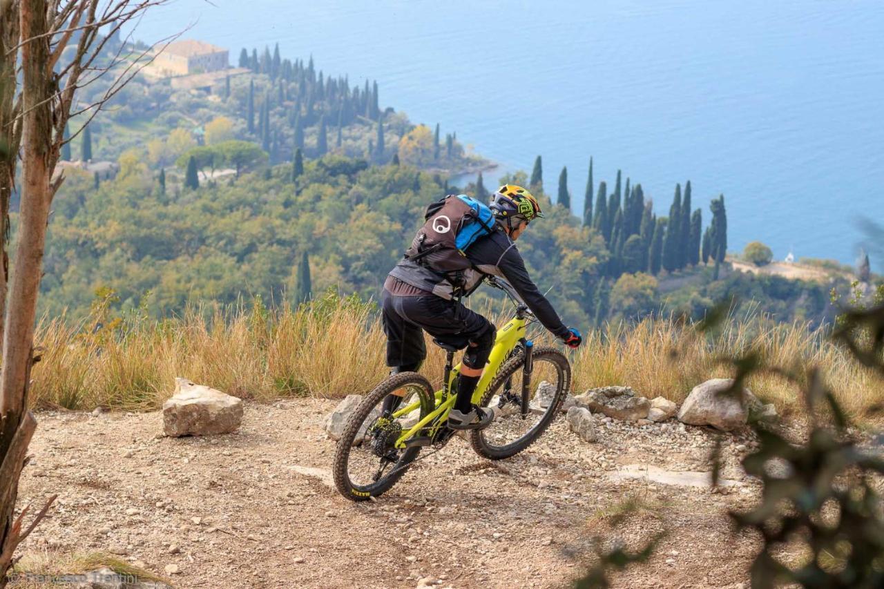 Hotel Danieli La Castellana Lago Di Garda ブレンゾーネ エクステリア 写真